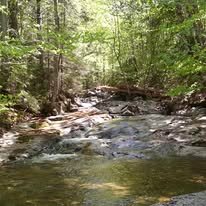 View of white water on rocky rapids in the Adirondack mountains