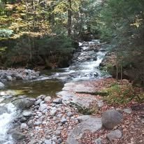 Rapid river flowing down one of the Adirondack Mountains next a hiking trail.
