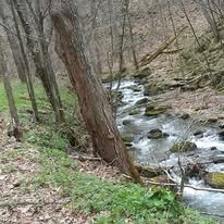 small river flowing through one of the Adirondack Mountains next to the hiking trail. 