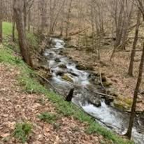 flowing river off the one of the hiking trails in the Adirondack mountains.